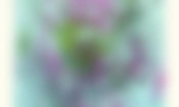 Spin drawing (preview)