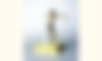 Femme a la rose (preview)