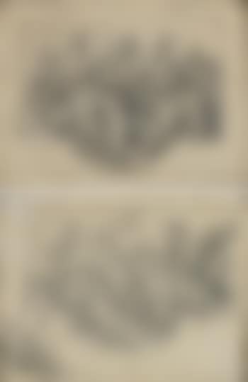 Decors chantournes (preview)