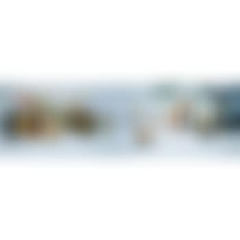 Knikknack peddler (preview)