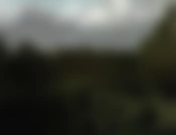 Promenade galante (preview)