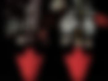 Two red vases with flowers (preview)