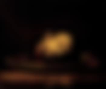 Head of the Baptist (preview)