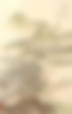 Landscapes (preview)