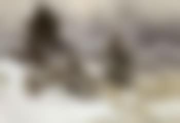 Winter landscape with hare (preview)