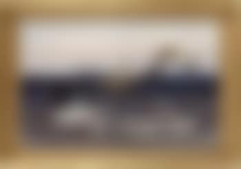 Eiderducks in flight (preview)