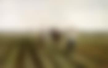 Ploughing in spring (preview)