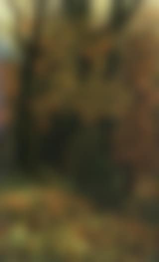 Autumn landscape (preview)