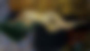 Nu allonge sur des oreillers verts (preview)
