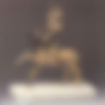 L'Amazone (preview)