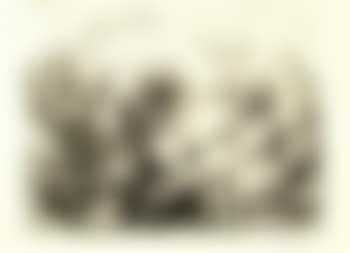 Le viol V (preview)
