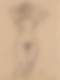 Female nude (preview)