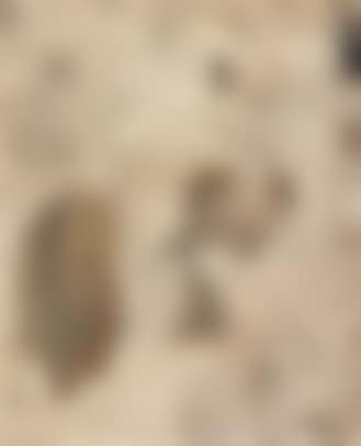 Remote parts (preview)