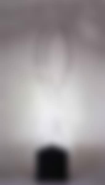 Contortion IV (preview)