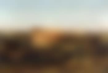 View of the Coliseum from Palatino Hill (preview)