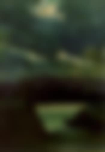Angler on the cliffs (preview)