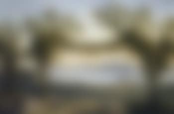 Country folk resting beneath vines (preview)
