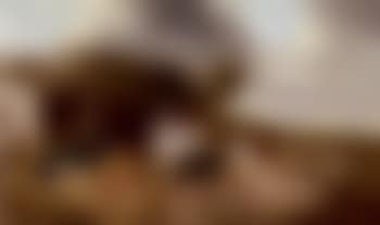 In the farmyard (preview)