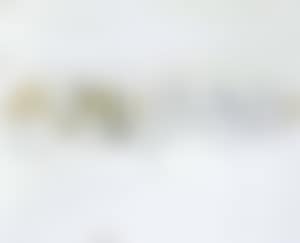 Landscape I (preview)