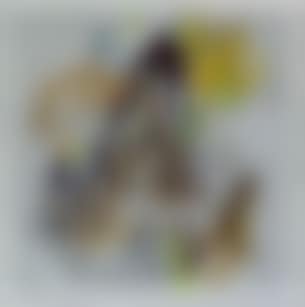 Untitled (preview)