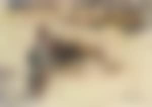 Bullfight (preview)