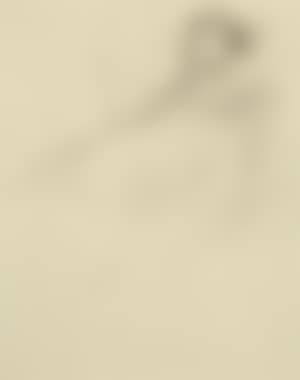 Woman reading (preview)
