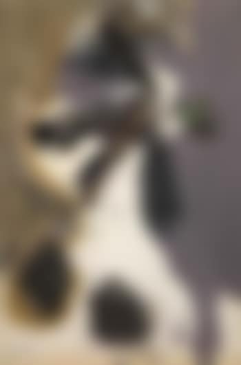 Le beret vert (preview)