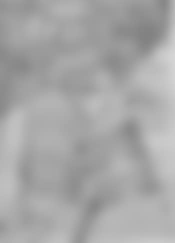 Member of the company (preview)