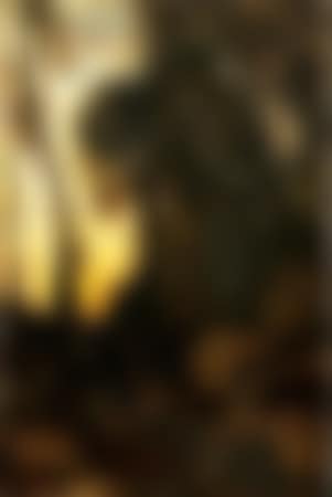 Paysage au crepuscule (preview)