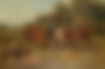 Calves and chickens in a farmyard with an extensive landscape beyond (preview)