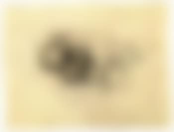 Nature morte aux pommes (preview)