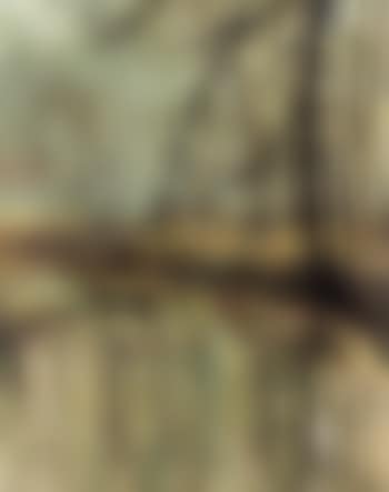 Paysage a l'etang (preview)