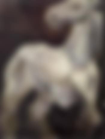 A circus horse (preview)