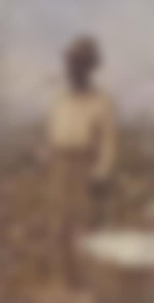 Male cotton picker with a basket of cotton (preview)
