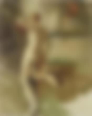 Female nude seen from behind (preview)