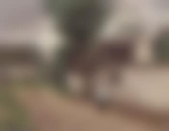 Village scene with girl carrying basket (preview)