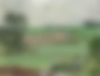 Green landscape (preview)