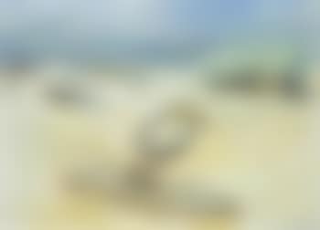 Coastal landscape with beached boats (preview)