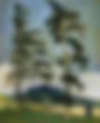 Landscape (preview)