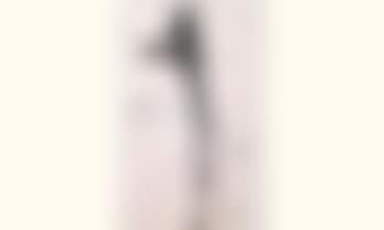 META S (preview)