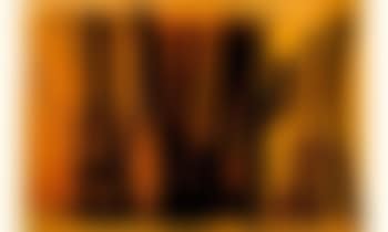 Untitled - composition (preview)