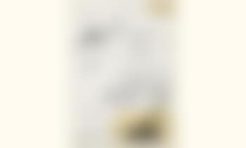Projet pour Chiquita banana (preview)