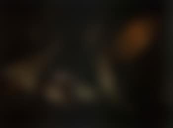 Still life of fish with kitchen vessels. Still life of fish and squid in landscape (preview)