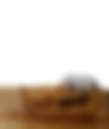 Schlitten (preview)