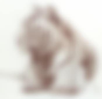 Bathing tiger (preview)