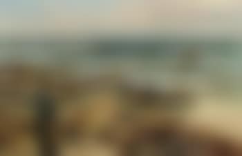 On the beach at Staithes (preview)