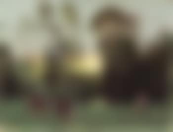 Paysage aux vaches (preview)