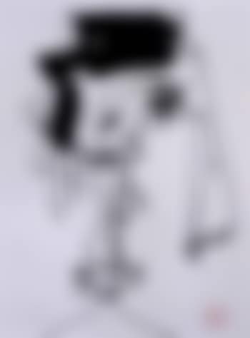 Imaginary portrait (preview)