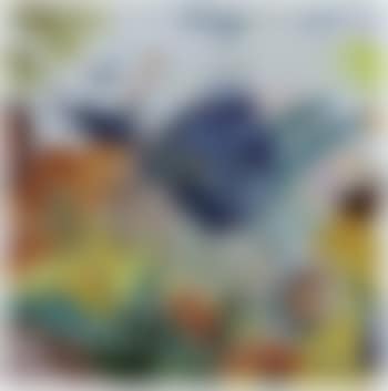 Composition (preview)