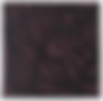 Untitled - composition (preview)